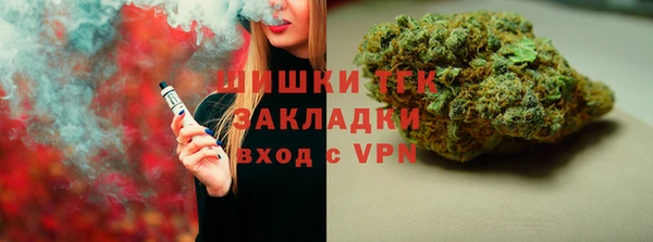 mix Бородино