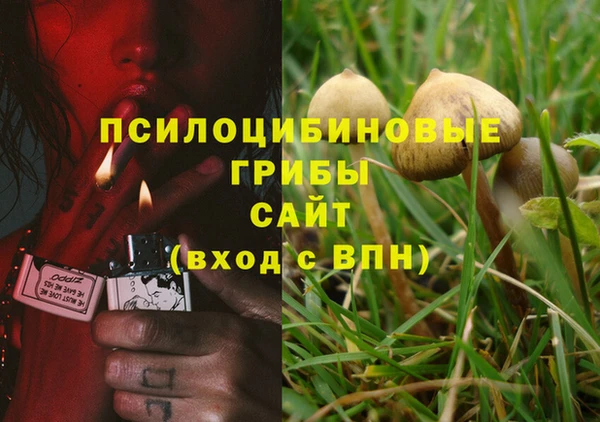 а пвп мука Бронницы