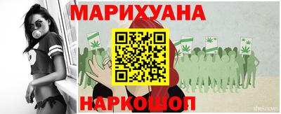 мдпв Бийск