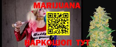 мдпв Бийск