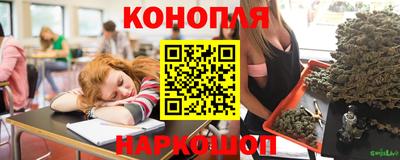 прущая мука Кингисепп