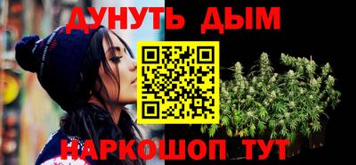 мдпв Бийск