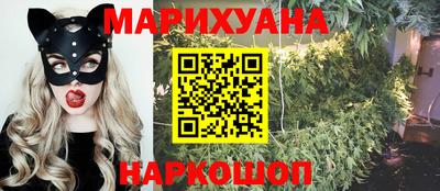 мдпв Бийск