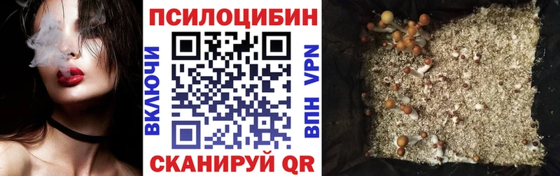 Галлюциногенные грибы Psilocybe МЕГА Воркута